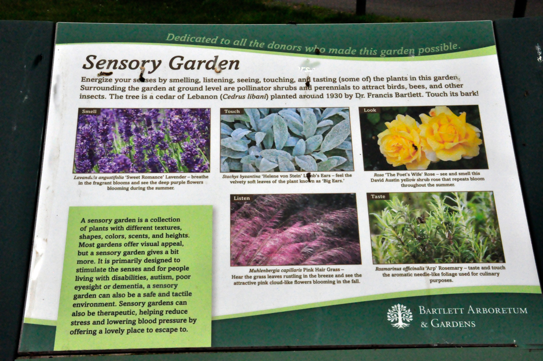 Sensory Garden sign and information